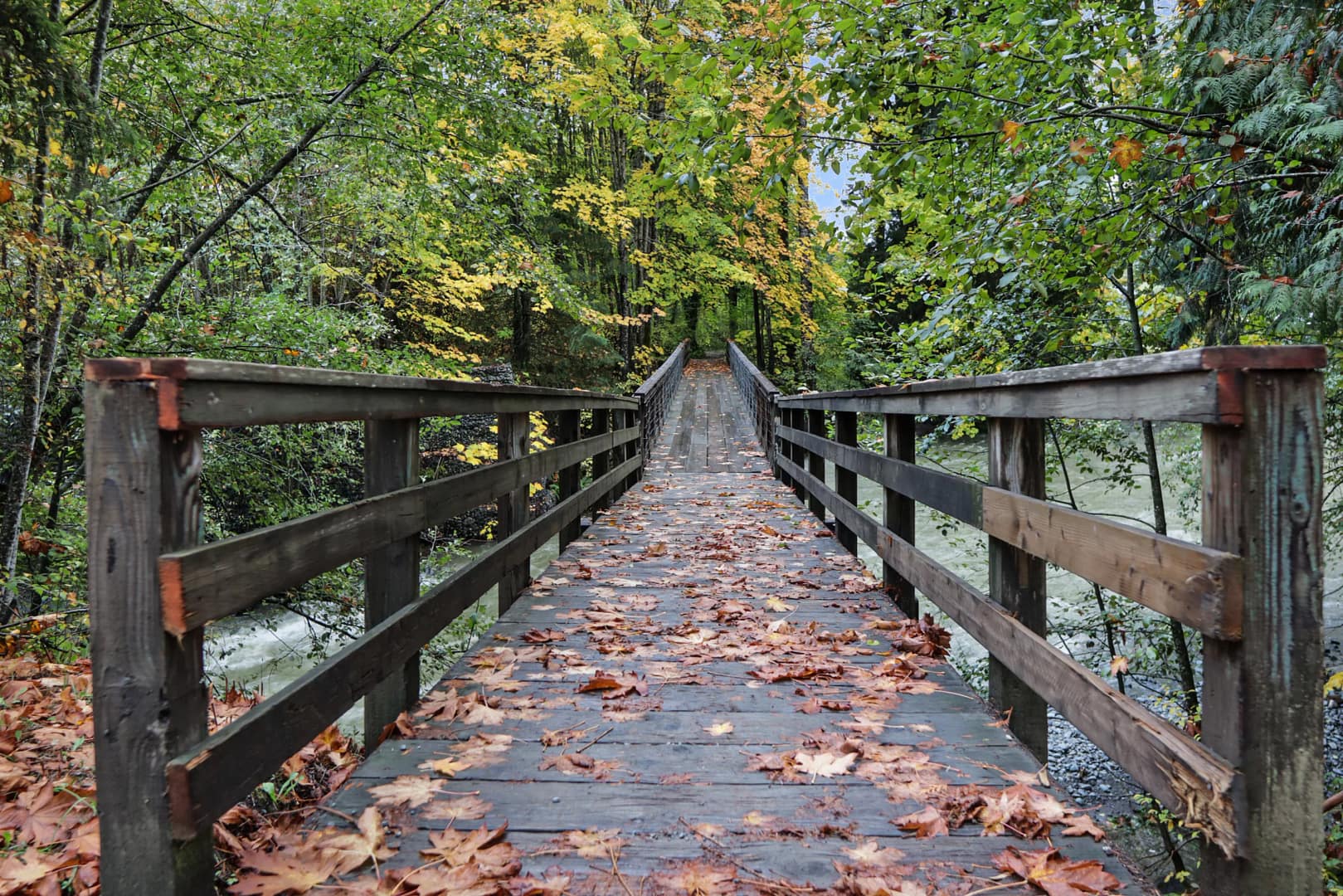 A wooden bridge strewn with fallen autumn leaves leads through a forest on Vancouver Island, with trees displaying vibrant green and yellow foliage on either side.